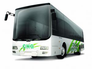 Wuzhoulong FDG6121 CNG '2011